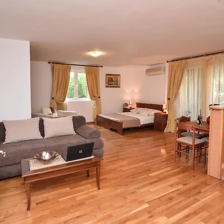 Petkovic Apartmán *